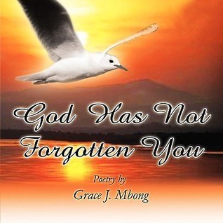 God Has Not Forgotten You cover, showing a bird above a warm orange sunset.